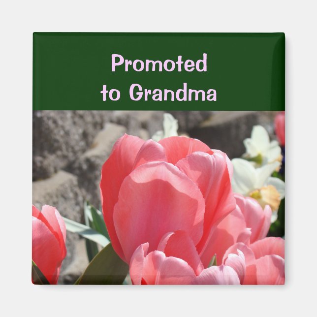 Ascendido a imán de Abuela Flores de Tulipán Rosad (Frente)
