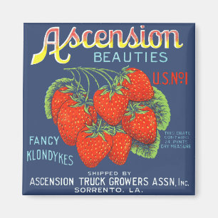 Ascensión Belleza Fresas imán