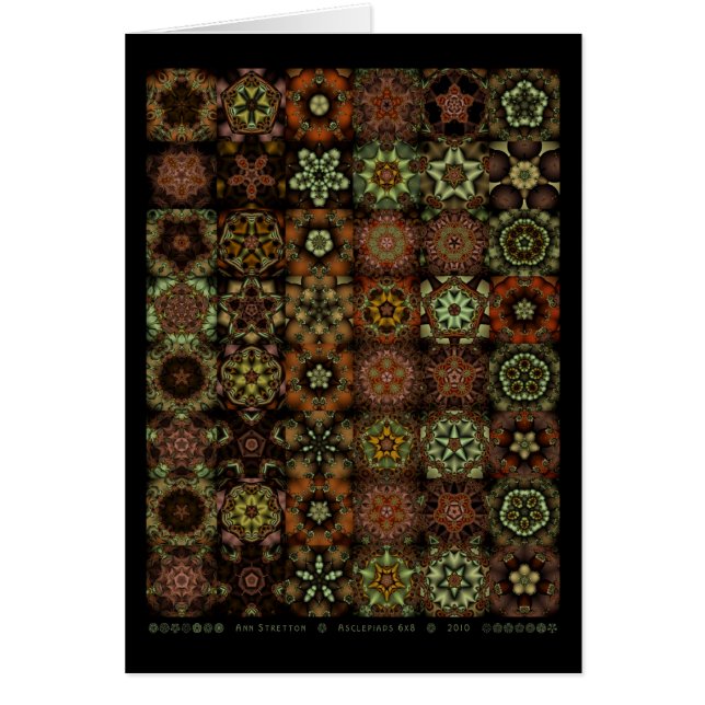 Asclepiads 6x8 (Frente)