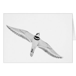 Asesinato en aumento