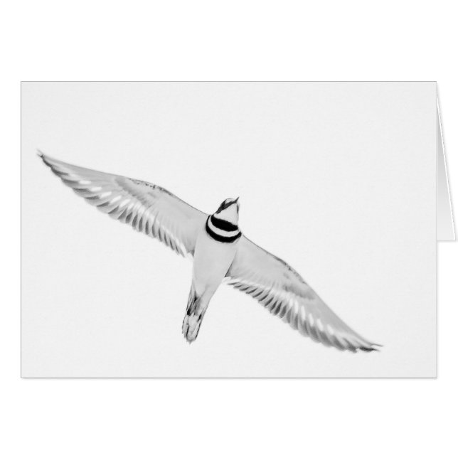 Asesinato en aumento (Anverso (Horizontal))