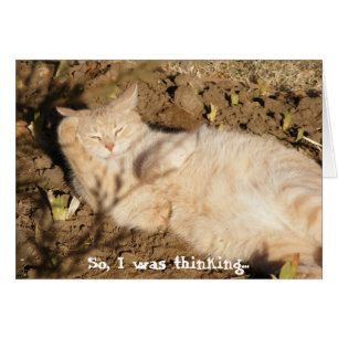 Así pues, pensaba… (Catnap)