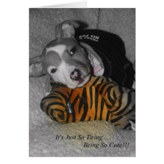 ¡Así Que El Amarre Es Tan Agradable!