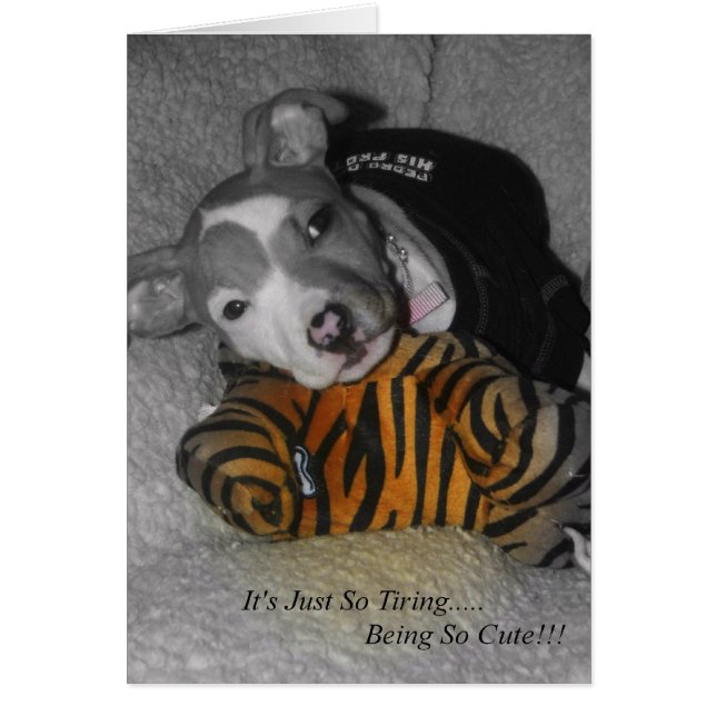 ¡Así Que El Amarre Es Tan Agradable! (Frente)