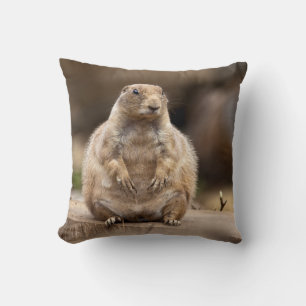 Así que soy un poco bajo para mi peso Almohada