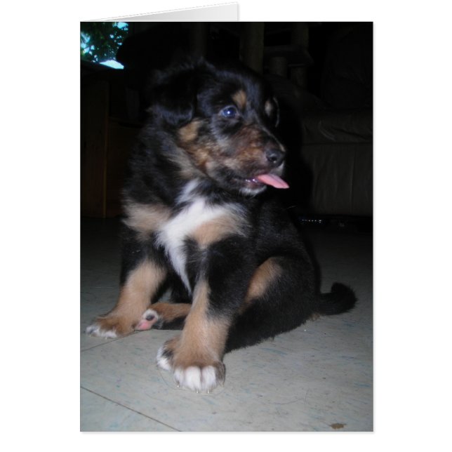 Así que, tóma! Raspberry pimienta (Frente)