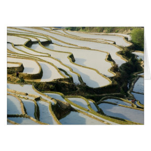 Asia, China, provincia de Yunnan, condado de Yuany