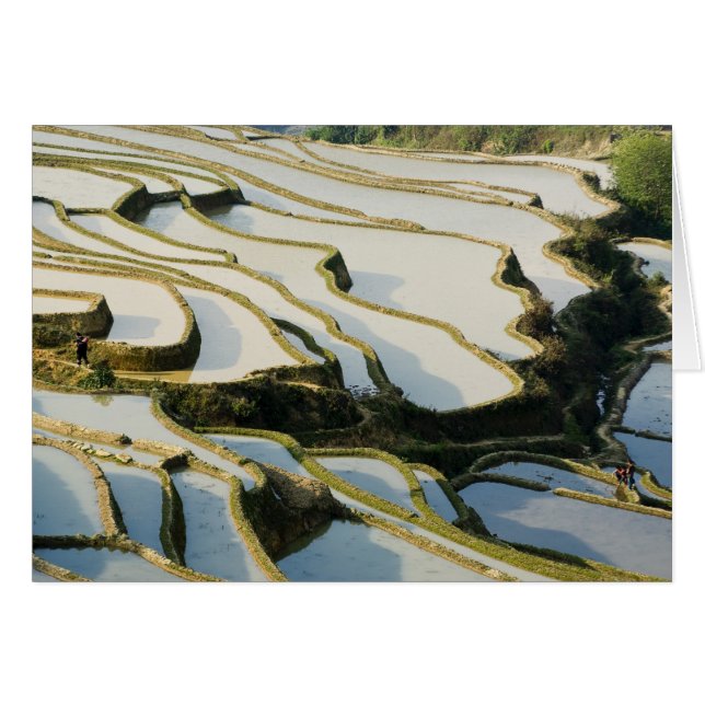 Asia, China, provincia de Yunnan, condado de Yuany (Anverso (Horizontal))