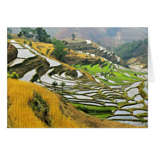 Asia, China, Yunnan, prefectura de Yuxi; Yuanjiang