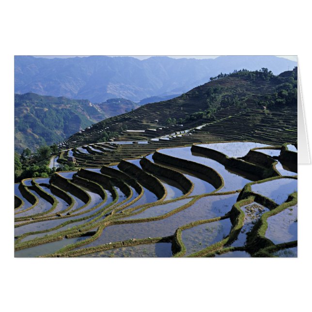 Asia, China, Yunnan, Yuanyang. Escarpado (Anverso (Horizontal))