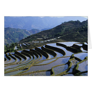 Asia, China, Yunnan, Yuanyang. Rugoso