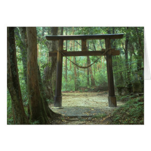Asia, Japón, Kagoshima, Yakushima, Montaña