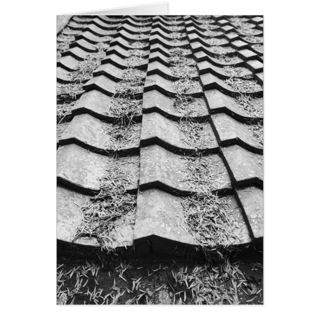 Asia, Japón, Miyajima. Detalle del techo de arcill (Frente)