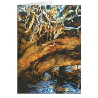 Asilo de los pescados