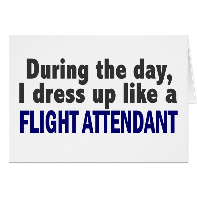 Asistente de vuelo durante el día (Anverso (Horizontal))