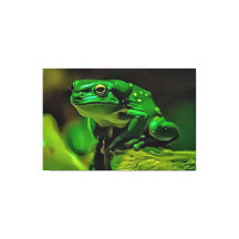 Asombrosa imagen de una rana verde como arte fotog