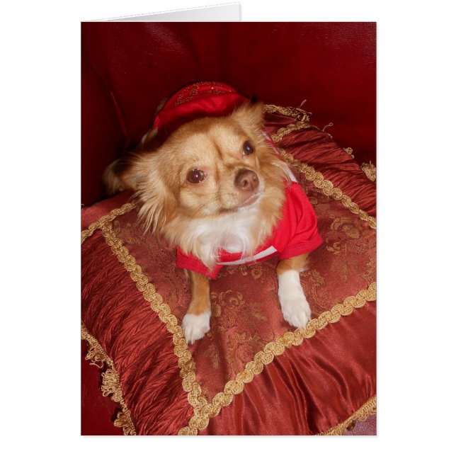 asombroso Coco (Frente)