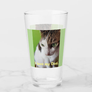 Asombroso gato tabby con ojos verdes impresionante