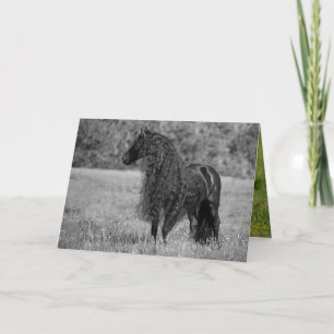 Aspecto del caballo frisón - Tarjeta de saludo a c