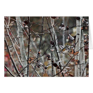 Aspen Forest a fines de otoño