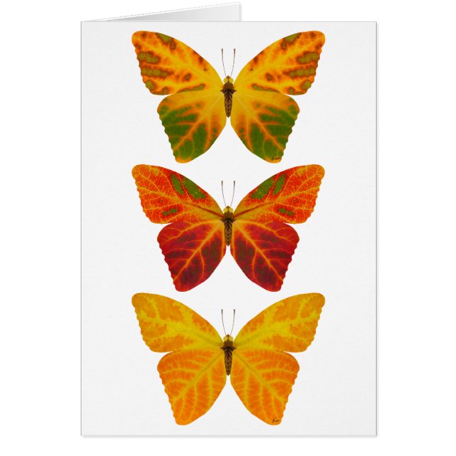 Aspen Leaf Butterflies (Frente)