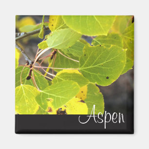 Aspen refrigerador imán