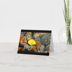 Aspen y la tarjeta en blanco del descenso del agua