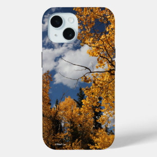 Aspens - Un Funda de MisterP