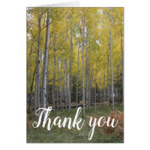 Aspen's Yellow Glow gracias