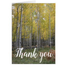 Aspen's Yellow Glow gracias