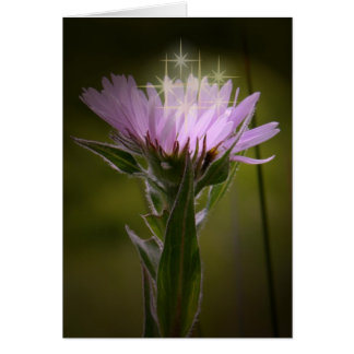 Aster costero de Fleabane en la isla Unalaska