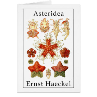Asteridea de Ernst Haeckel