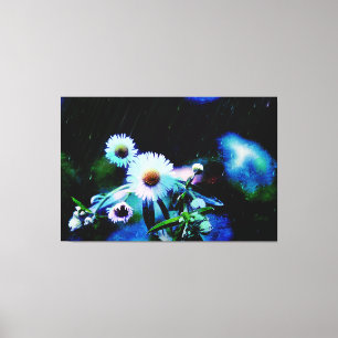 Asters Aglow Wraped Canvas Impresiones