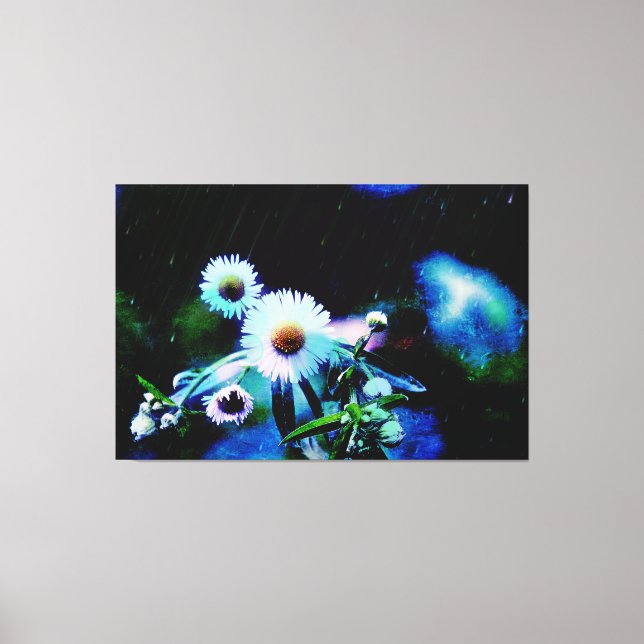 Asters Aglow Wraped Canvas Impresiones (Anverso)