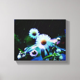 Asters Aglow Wraped Canvas Impresiones