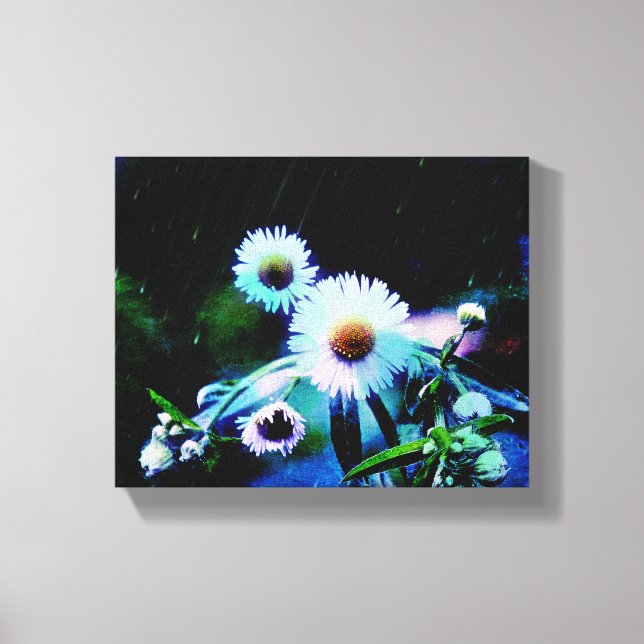 Asters Aglow Wraped Canvas Impresiones (Anverso)