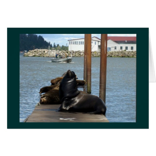Astoria Oregon Sealions (Anverso (Horizontal))