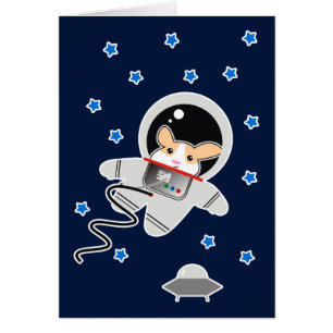 Astronauta Hamster