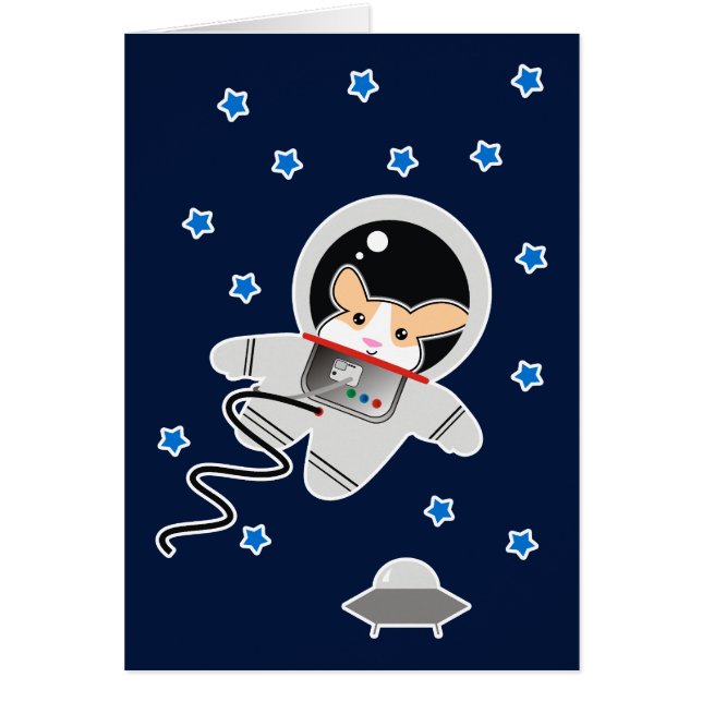 Astronauta Hamster (Frente)