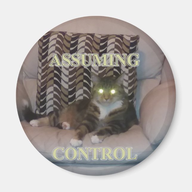 Asumiendo el control imán de gato (Frente)
