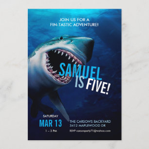 Ataque a tiburones   Boys de Invitación al Océano 