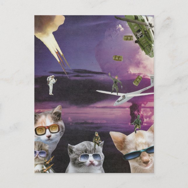 Ataque de la postal de los gatos de Guay (Anverso)