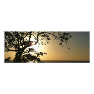 Atardecer a través de árboles II Fotografía tropic