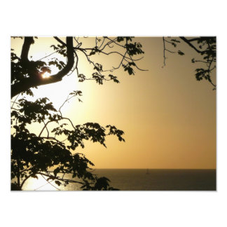 Atardecer a través de árboles II Fotografía tropic