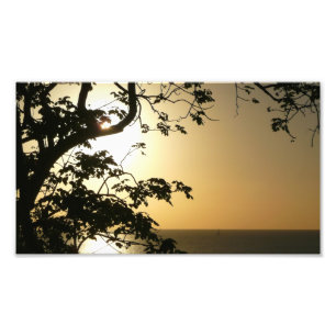 Atardecer a través de árboles II Fotografía tropic