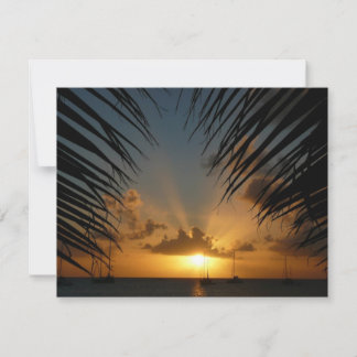 Atardecer a través de la orilla de la palma