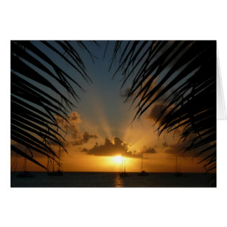 Atardecer a través de la tarjeta Palm Fronds