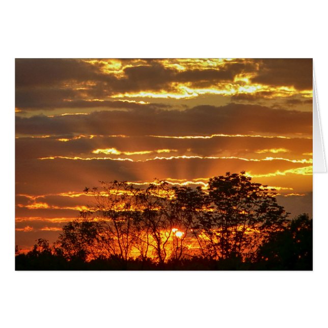 Atardecer Con Rayos Dorados A Través De Árboles (Anverso (Horizontal))