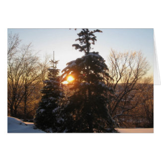 Atardecer de invierno con verduras