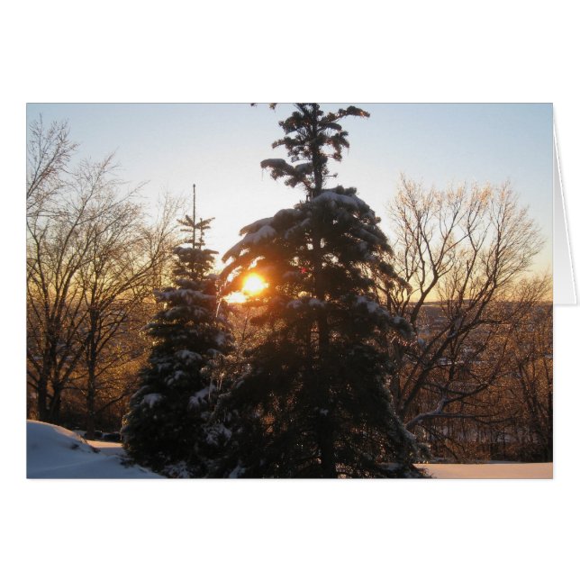 Atardecer de invierno con verduras (Anverso (Horizontal))